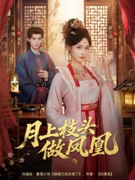 月上枝頭做鳳凰(全集)