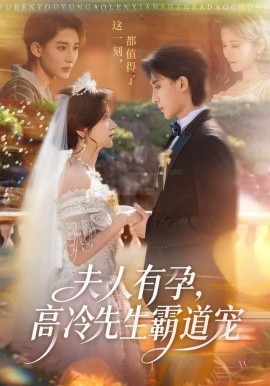 夫人有孕，高冷先生霸道寵(全集)