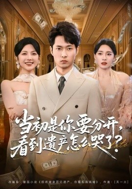 當(dāng)初是你要分開，看到遺產(chǎn)怎么哭了？(全集)