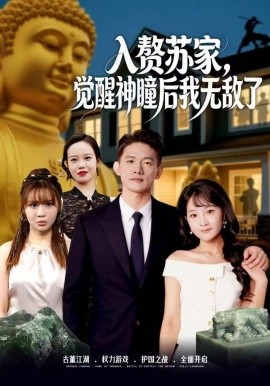 入贅蘇家，覺(jué)醒神瞳后我無(wú)敵了(全集)