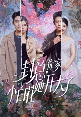 封總，你家小白花她開(kāi)大了(全集)