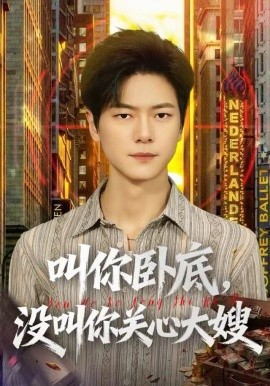 叫你臥底，沒叫你關(guān)心大嫂(全集)