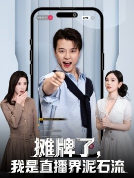 攤牌了，我是直播界泥石流(全集)