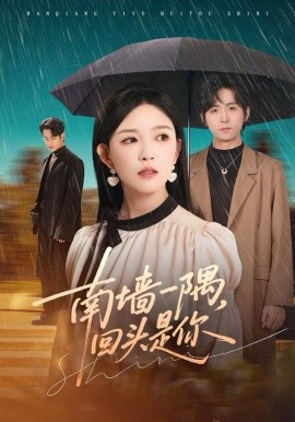 南墻一隅，回頭是你(全集)