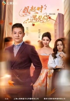 風(fēng)起時(shí)遇見你(全集)