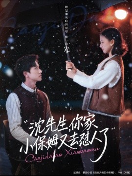 沈先生，你家小保姆又去懟人了(全集)