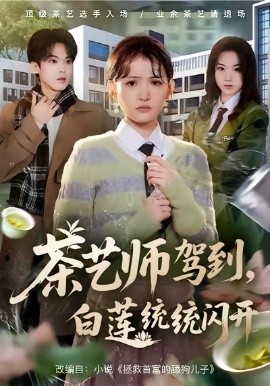 茶藝師駕到白蓮統(tǒng)統(tǒng)閃開(kāi)(全集)