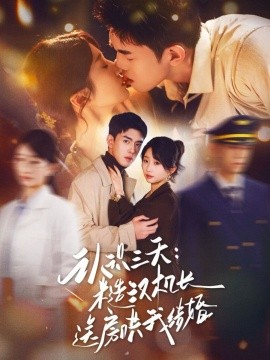 認(rèn)識(shí)三天糙漢機(jī)長送房哄我結(jié)婚(全集)