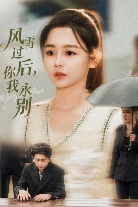 風(fēng)雪過后你我永別(全集)