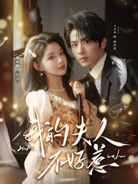 我的夫人不好惹 你好，我的旅長(zhǎng)夫人(全集)