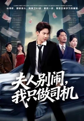 夫人別鬧我只做司機(全集)