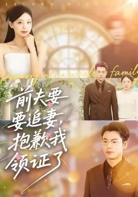 前夫要追妻，抱歉我領(lǐng)證了(全集)