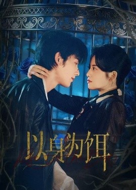 以身為餌短劇(全集)