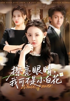 擦亮眼睛，我可不是小白花(全集)