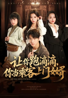 讓你跑滴滴，你當(dāng)乘客上門女婿(全集)