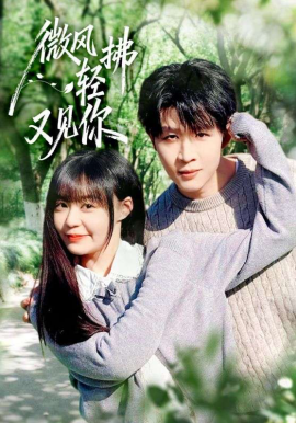 微風(fēng)輕拂又見你(全集)