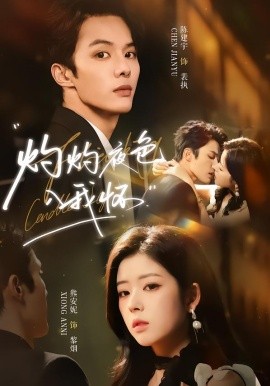 灼灼夜色入我懷(全集)