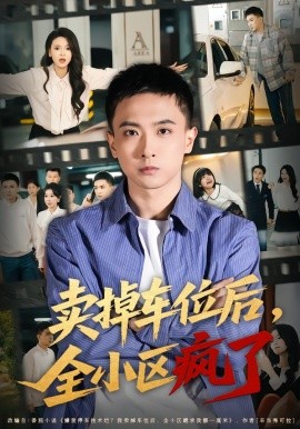 賣掉車位后，全小區(qū)瘋了(全集)