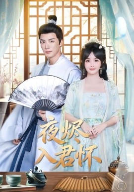 夜?fàn)a入君懷(全集)