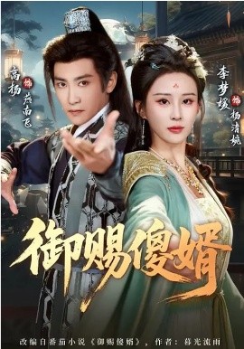 御賜傻婿(全集)