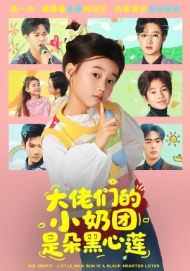 大佬們的小奶團(tuán)是朵黑心蓮(全集)