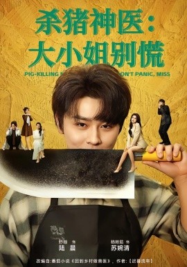 殺豬神醫(yī)，大小姐別慌(全集)