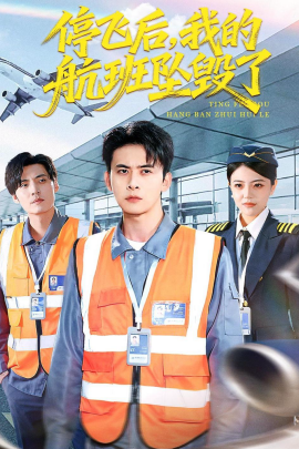 停飛后，我的航班墜毀了(全集)
