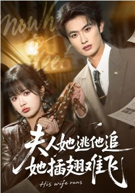 夫人她逃他追，她插翅難飛(全集)