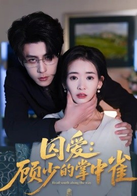 囚愛：顧少的掌中雀(全集)