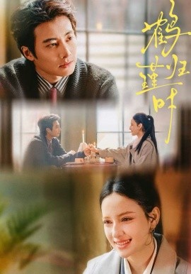 鶴歸瑾時(全集)