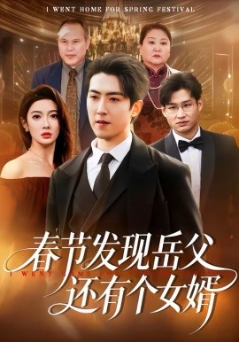 春節(jié)發(fā)現(xiàn)岳父還有個女婿(全集)