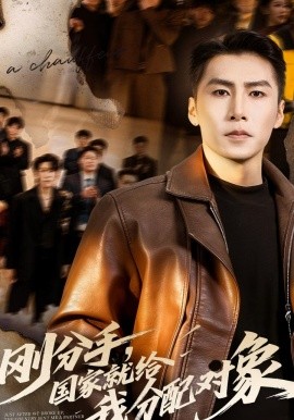 剛分手，國家就給我分配對象(全集)