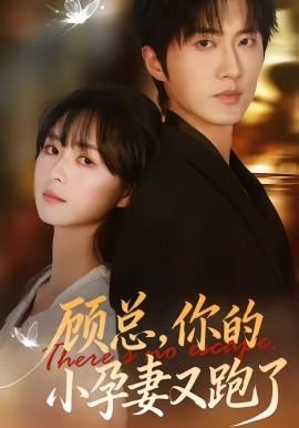 顧總，你的小孕妻又跑了(全集)