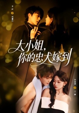 大小姐，你的忠犬嫁到(全集)