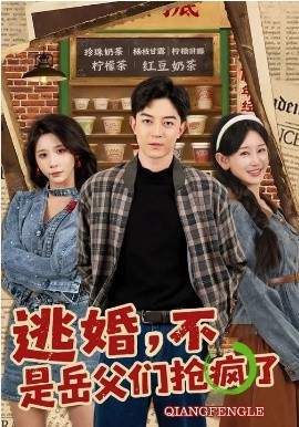 逃婚，不，是岳父們搶瘋了(全集)