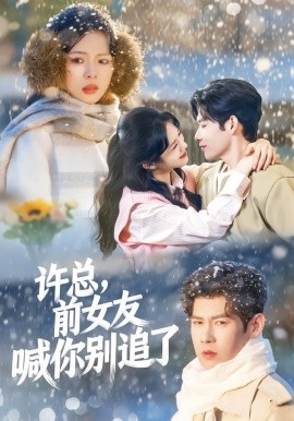 許總，前女友喊你別追了(全集)
