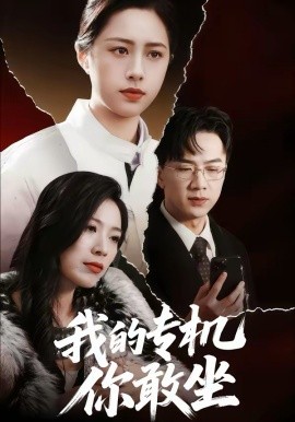 我的專機(jī)你敢坐(全集)