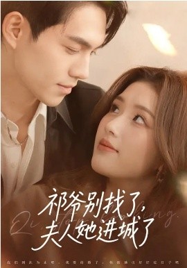 祁爺別找了，夫人她進城了(全集)