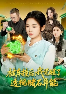 被車撞后，我覺醒了透視賭石異能了(全集)