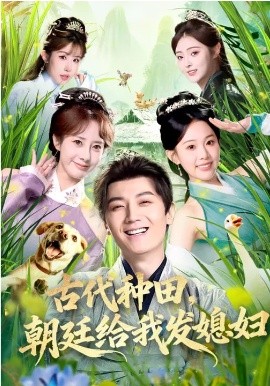 古代種田，朝廷給我發(fā)媳婦(全集)