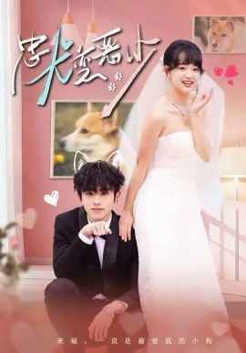 驚！我家來福變惡少了 忠犬變惡少(全集)