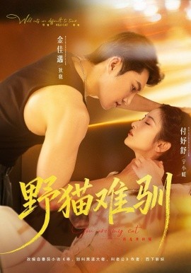 野貓難馴(全集)