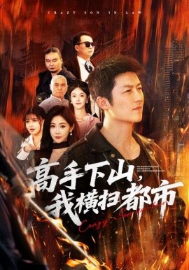 高手下山，我橫掃都市(全集)