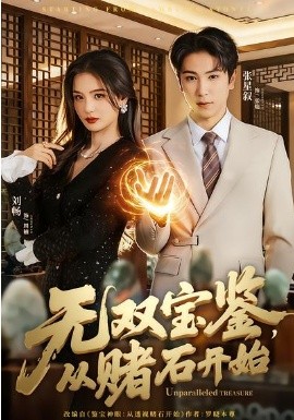 無(wú)雙寶鑒，從賭石開(kāi)始(全集)