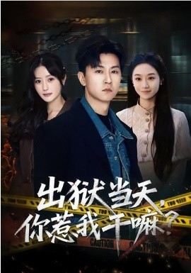 出獄當(dāng)天，你惹我干嘛？(全集)