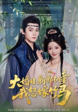 大婚日，新郎納妾我怒嫁竹馬(全集)