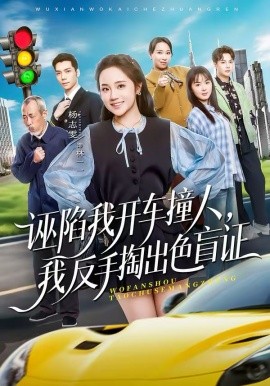 誣陷我開車撞人，我反手掏出色盲證(全集)