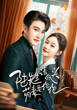 陸先生請(qǐng)低頭萌妻要抱抱(全集)